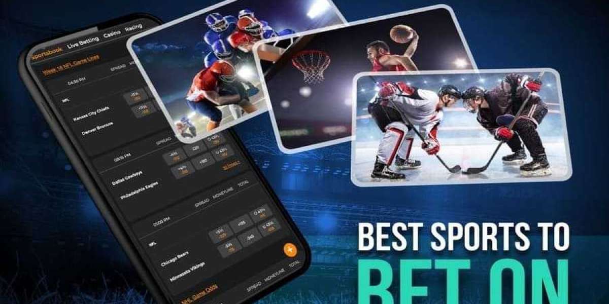 Unlocking the Excitement: Sports Betting Insights