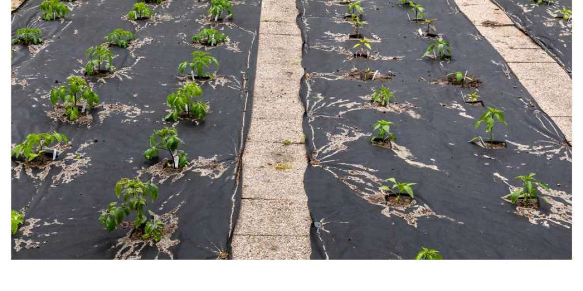 Taming the Weeds: A Guide to Weed Mats