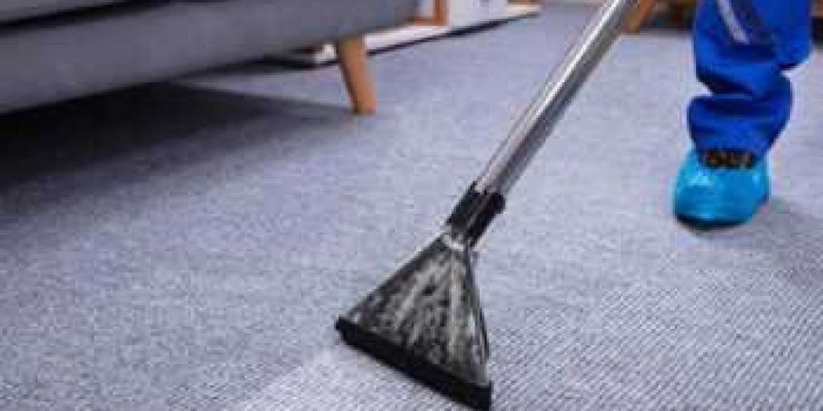 How Professional Carpet Cleaning Enhances Home Serenity