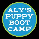 Aly's Puppy Boot Camp Profile Picture