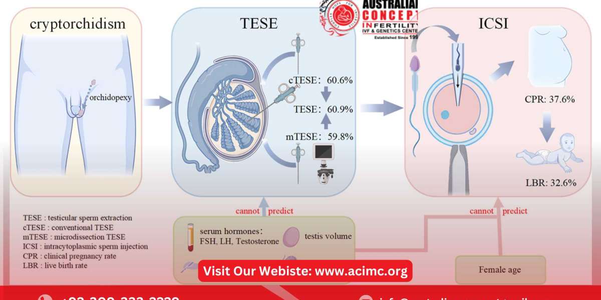 How to Reduce Dead Cells in Sperm A Guide to Sperm Health