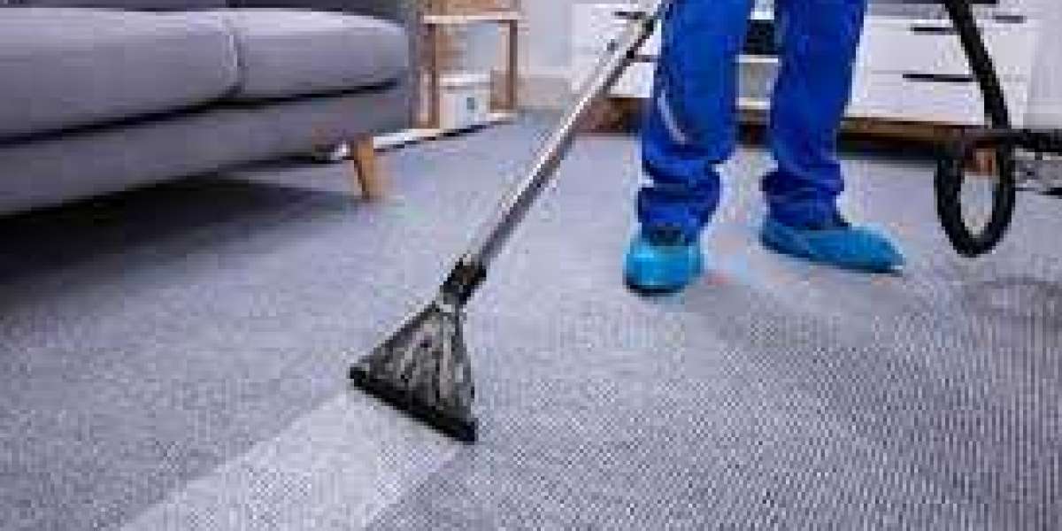 Carpet Cleaning Services for Homes That Seek Clean Living Spaces