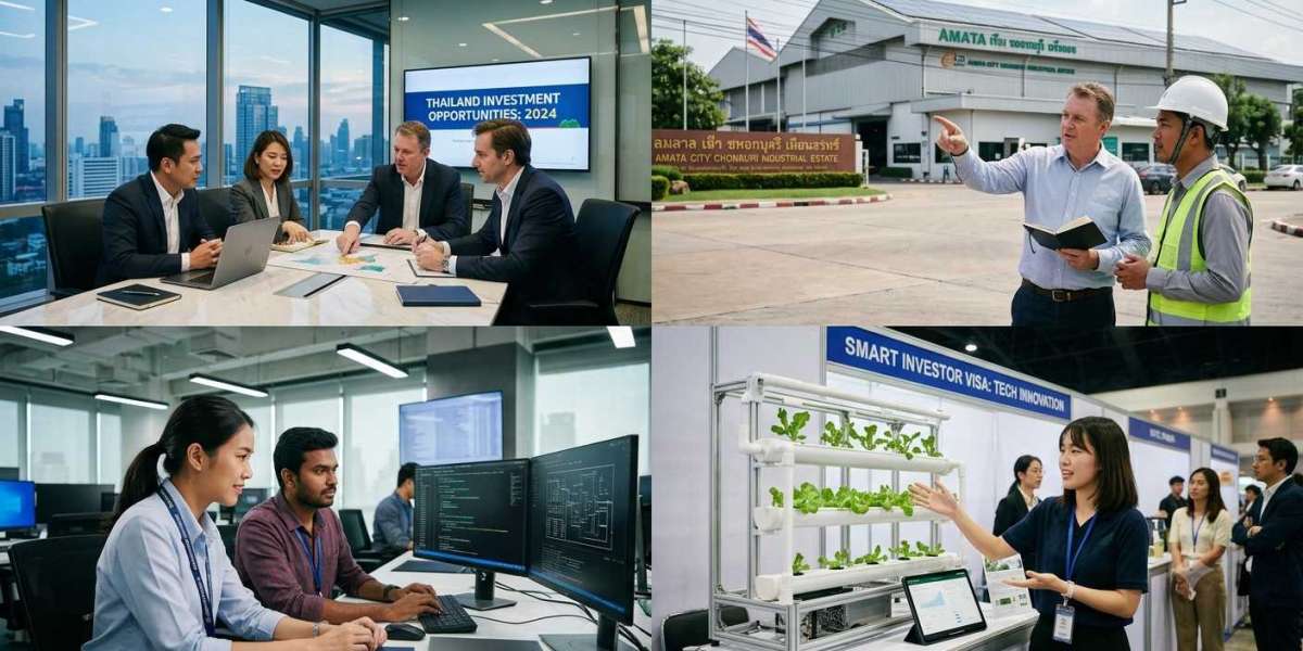 Thailand Business & Investor Visa: Application Guide & Eligibility
