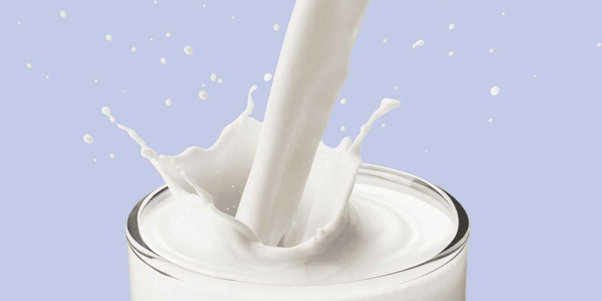 Best Breakfast Ideas with High Calcium Milk for Active Mornings