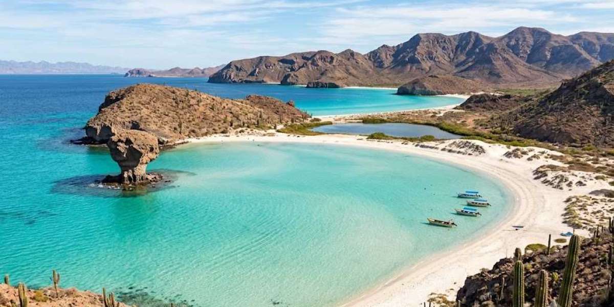 Mexico Electronic Authorisation System Guide for Smooth Travel Experience