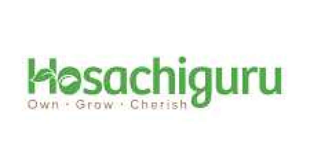 Choose Managed Farmland for Sale for a Sustainable Investment